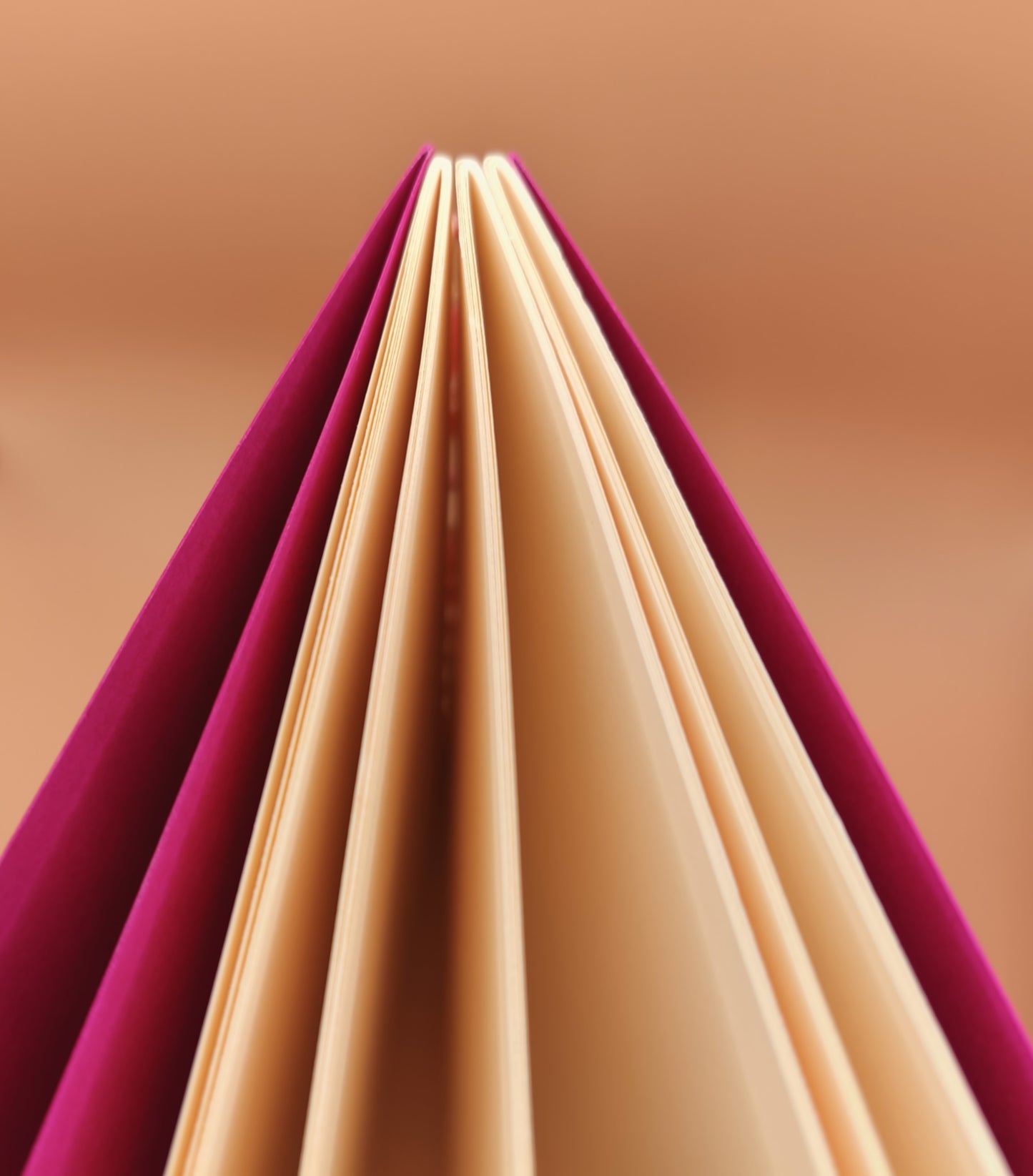 Carnet A5 Fuschia - 72 pages