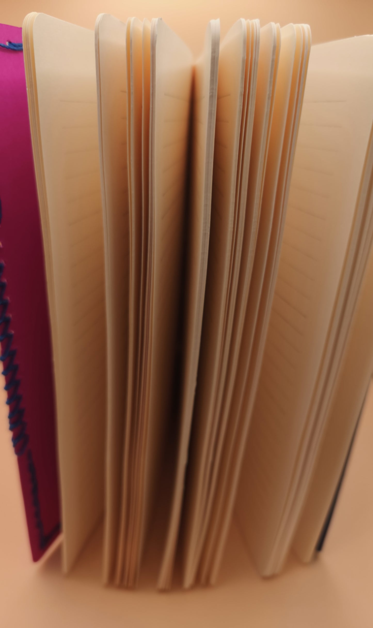 Carnet A5 Bi - 192 pages lignées