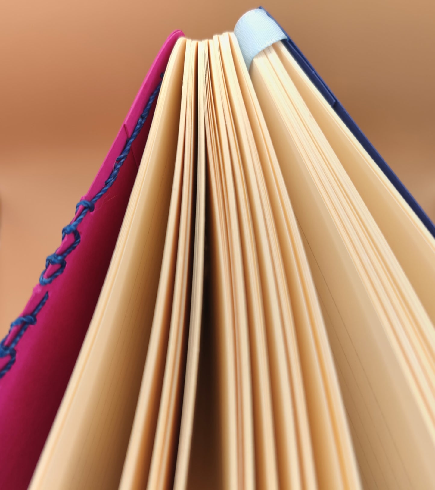Carnet A5 Bi - 192 pages lignées