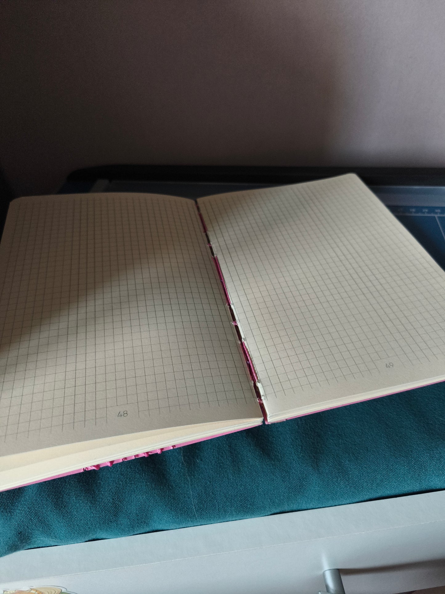 Sapphique | Quadrillé | 128 pages