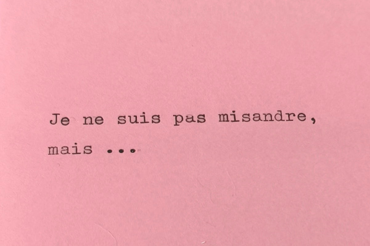 "Je ne suis pas misandre, mais ..." - Carnet A6 48 pages