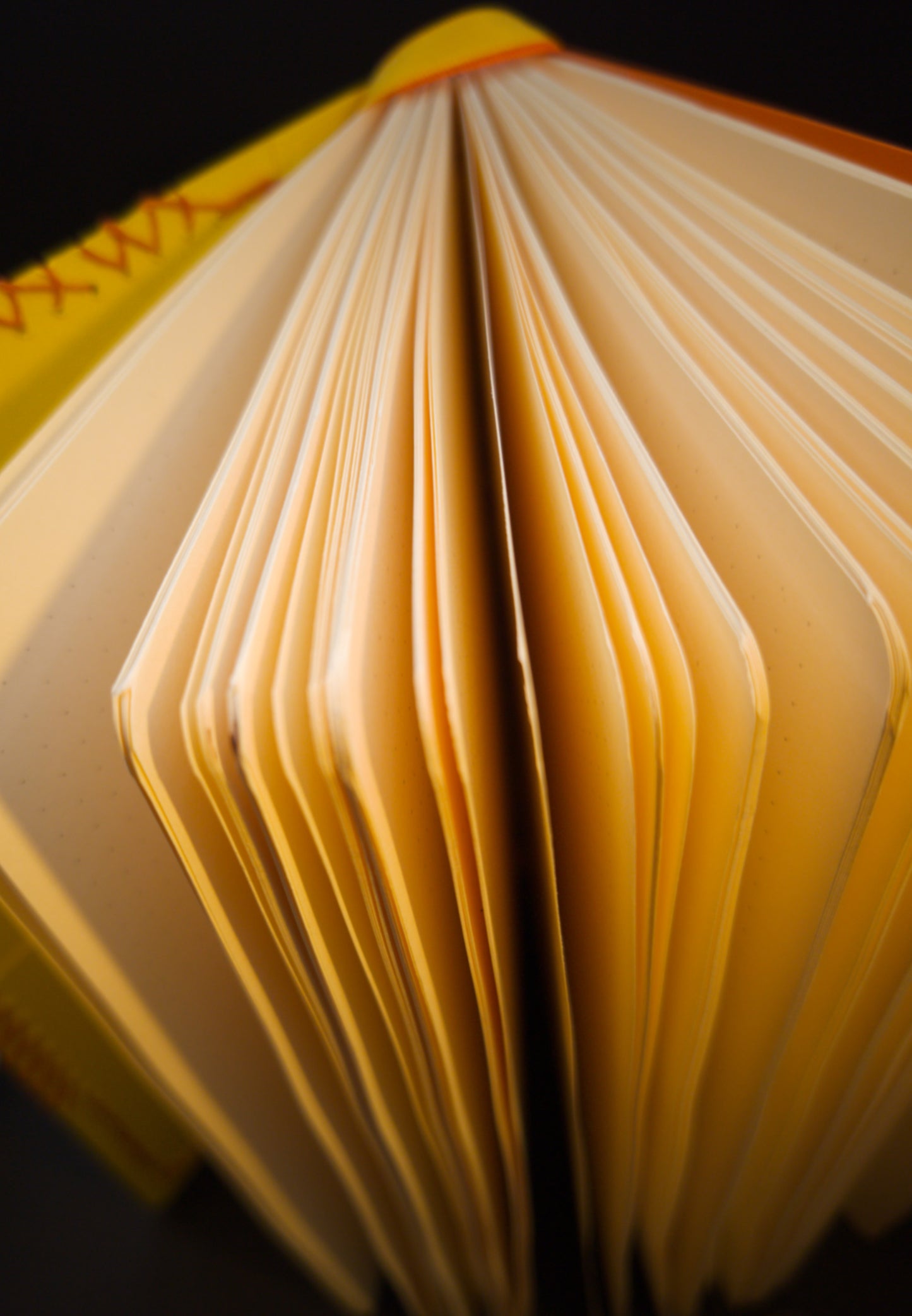 Carnet A5 Maverique - 192 pages points