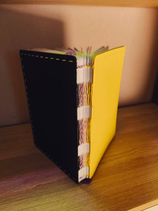 Non-binaire 180 pages 💛🤍💜🖤