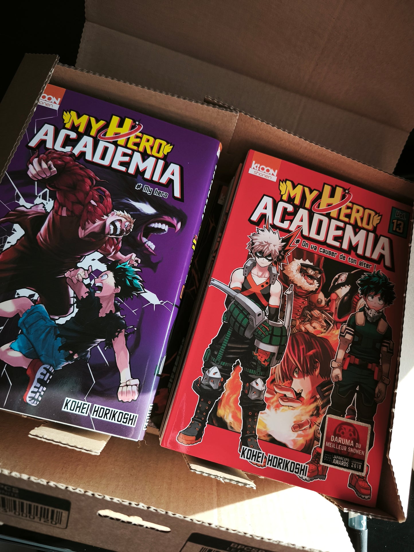 My Hero Academia T9 à T16