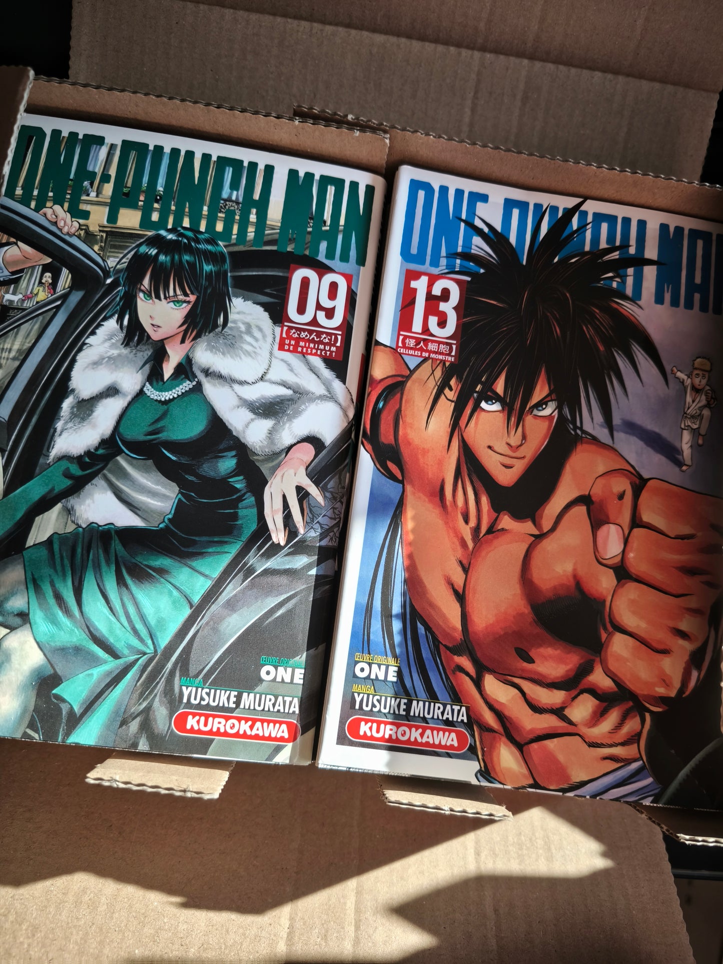 One Punch Man T9 à T16